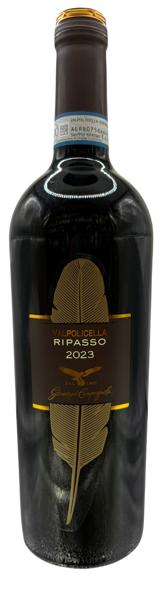 Valpolicella Ripasso - Campagnola