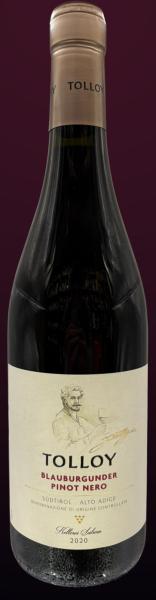 Tolloy Blauburgunder - Pinot Nero